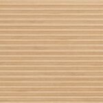 R48012 Pinus_1080 (2)